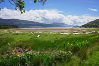 Shores of Loch Linnhe